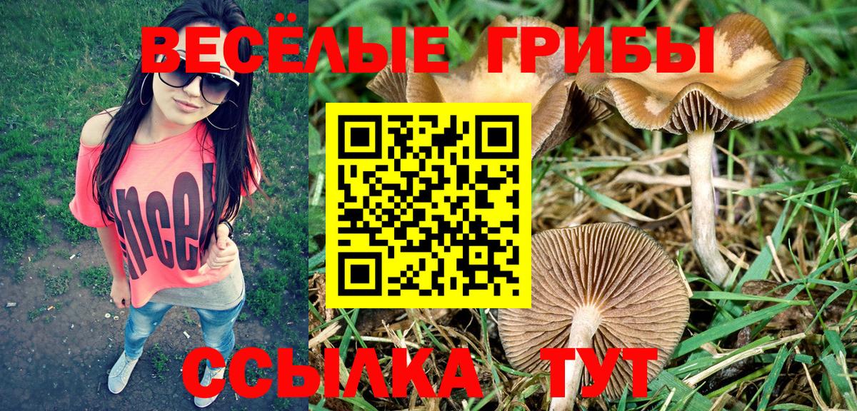 Борзя  Псилоцибиновые грибы прущие грибы  Вход с VPN 