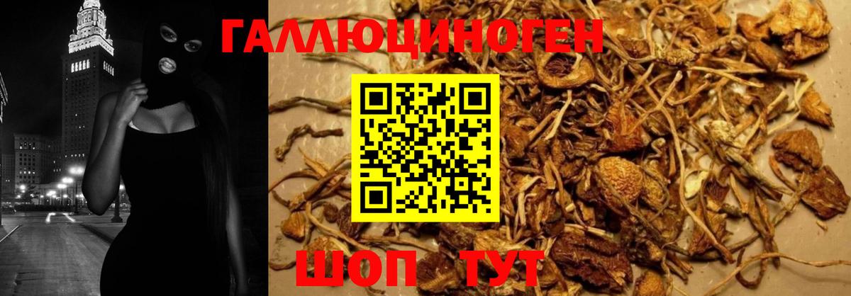 Псилоцибиновые грибы MAGIC MUSHROOMS Борзя